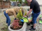 Uczniowie z Zespołu Szkół w Chełmży pomagają sadzić rośliny ozdobne